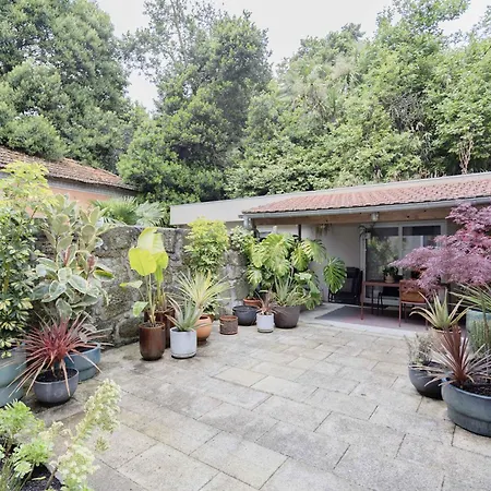 Apartment Liiiving In - Downtown Secret Terrace Porto