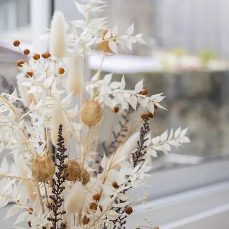 Liiiving In - Downtown Secret Terrace *