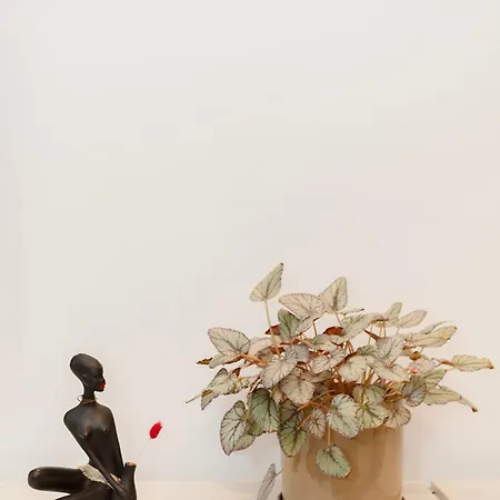 Liiiving In - Downtown Secret Terrace *