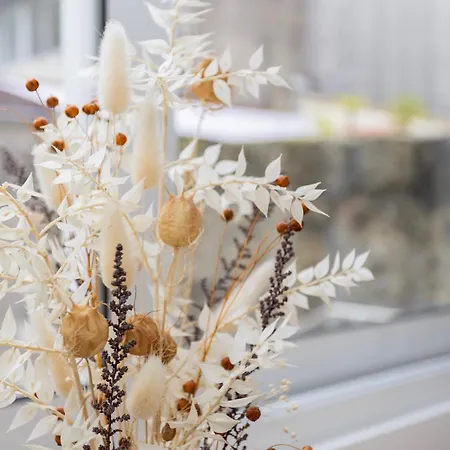 Liiiving In - Downtown Secret Terrace *