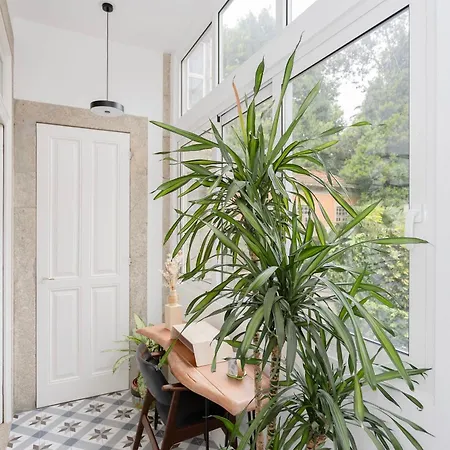 Liiiving In - Downtown Secret Terrace Apartament Porto